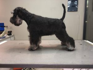 perdita3mois_2