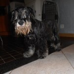fiona 006