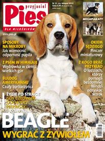 Ines en pologne