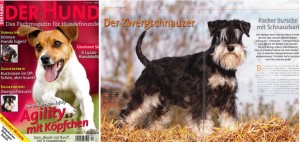 Der Hund